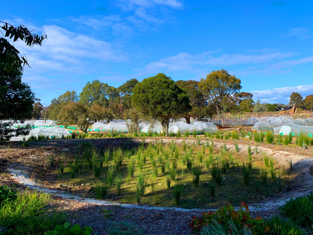 Bayside Council
